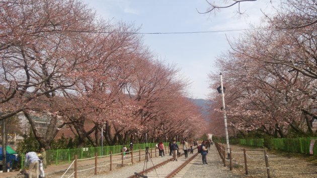 慶和駅の風景